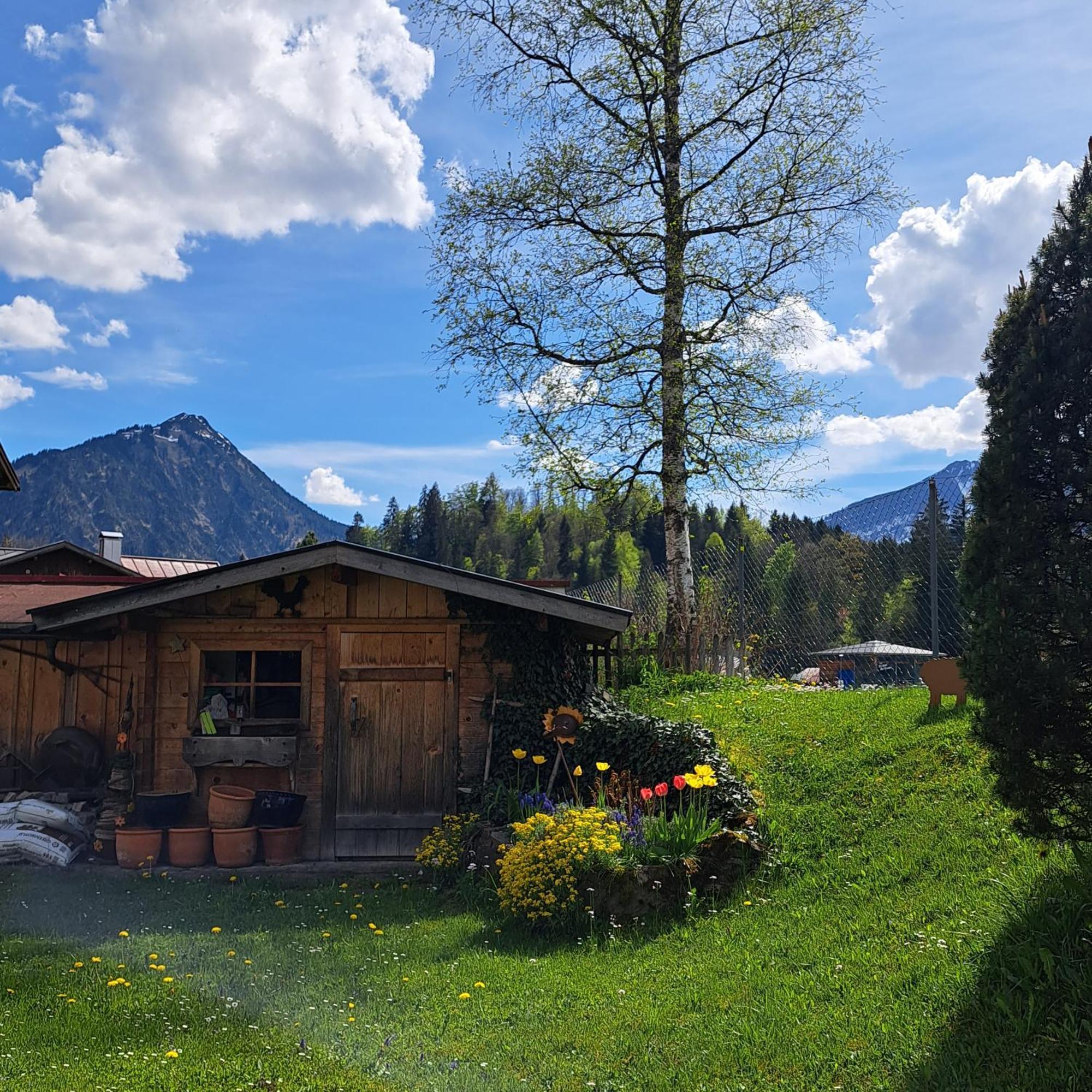 Faltenbach Ferienwohnungen In Оберстдорф Экстерьер фото